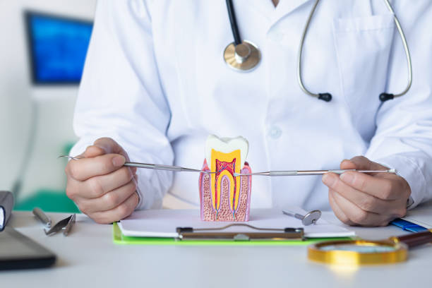 Best Emergency Dental Care for Abscessed Tooth in Mather, CA